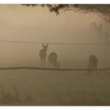 Landgoed De Rosep Oisterwijk
