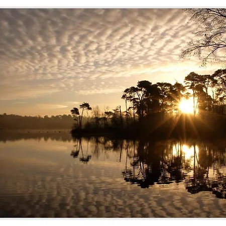 Landgoed De Rosep Szálloda Oisterwijk