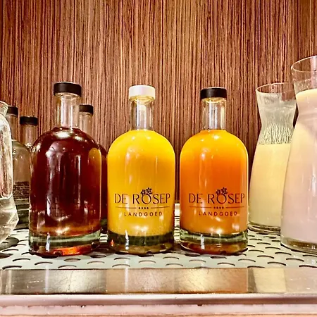 Landgoed De Rosep 4* Oisterwijk