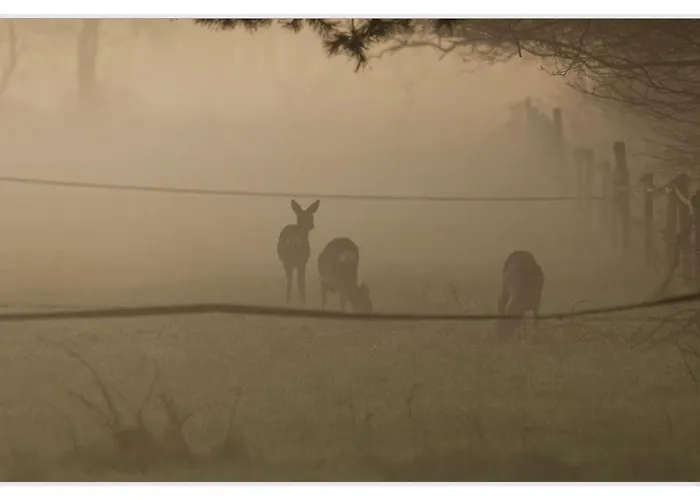 Landgoed De Rosep אויסטרוויק