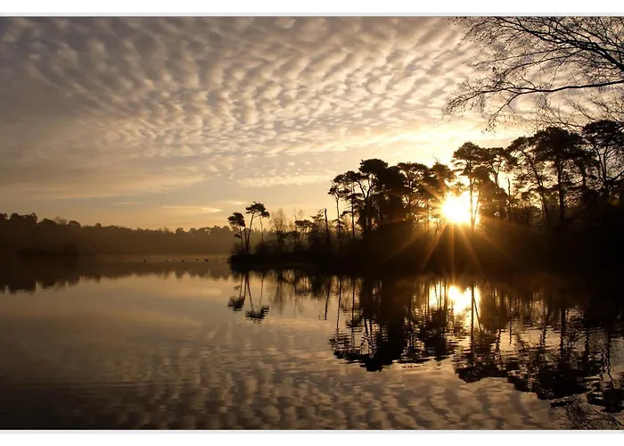 Landgoed De Rosep מלון אויסטרוויק