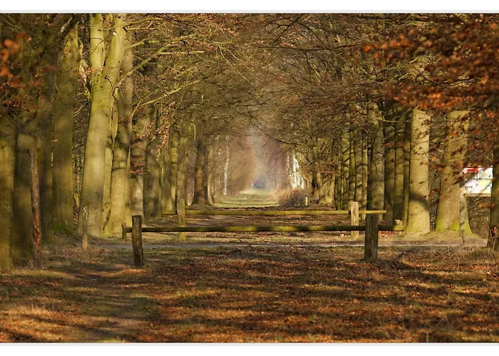 Hotel Landgoed De Rosep 4*