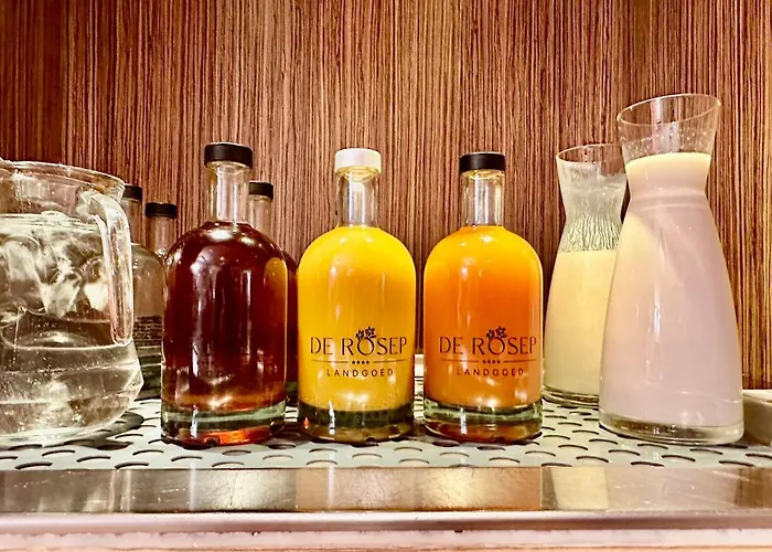 Landgoed De Rosep 4* אויסטרוויק