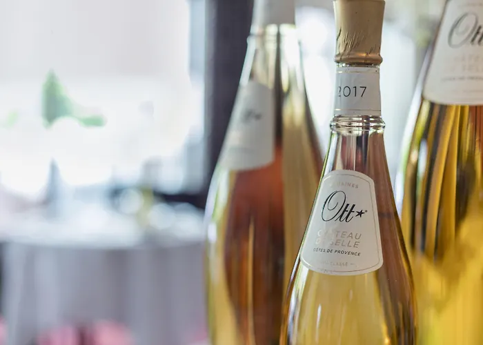 Hotel Landgoed De Rosep Oisterwijk